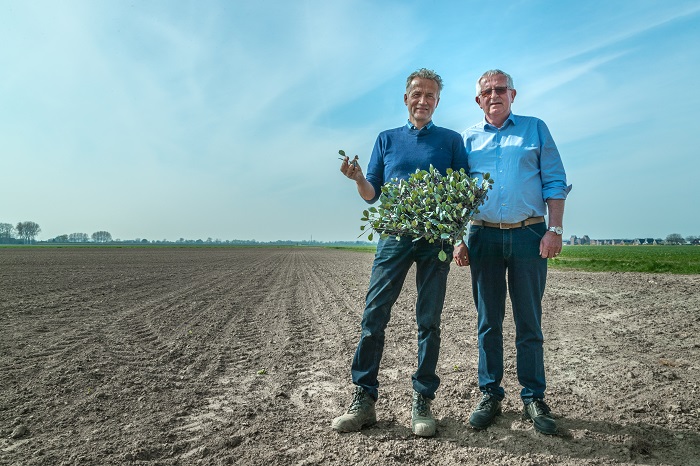 Teler Wim Straver van CIGTA (l.) en Adri den Dekker, directeur Landbouw, Inkoop en Duurzaamheid bij HAK (r.), slaan de handen ineen om de eerste rode kool te telen die het keurmerk On the way to PlanetProof zal krijgen.